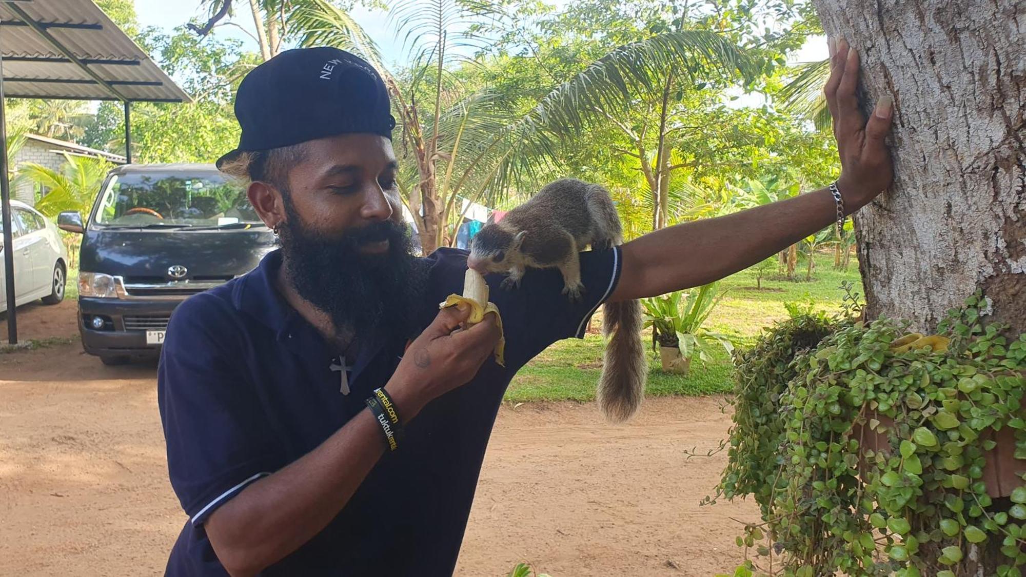 Ceylon Resort Wilpattu Kültér fotó
