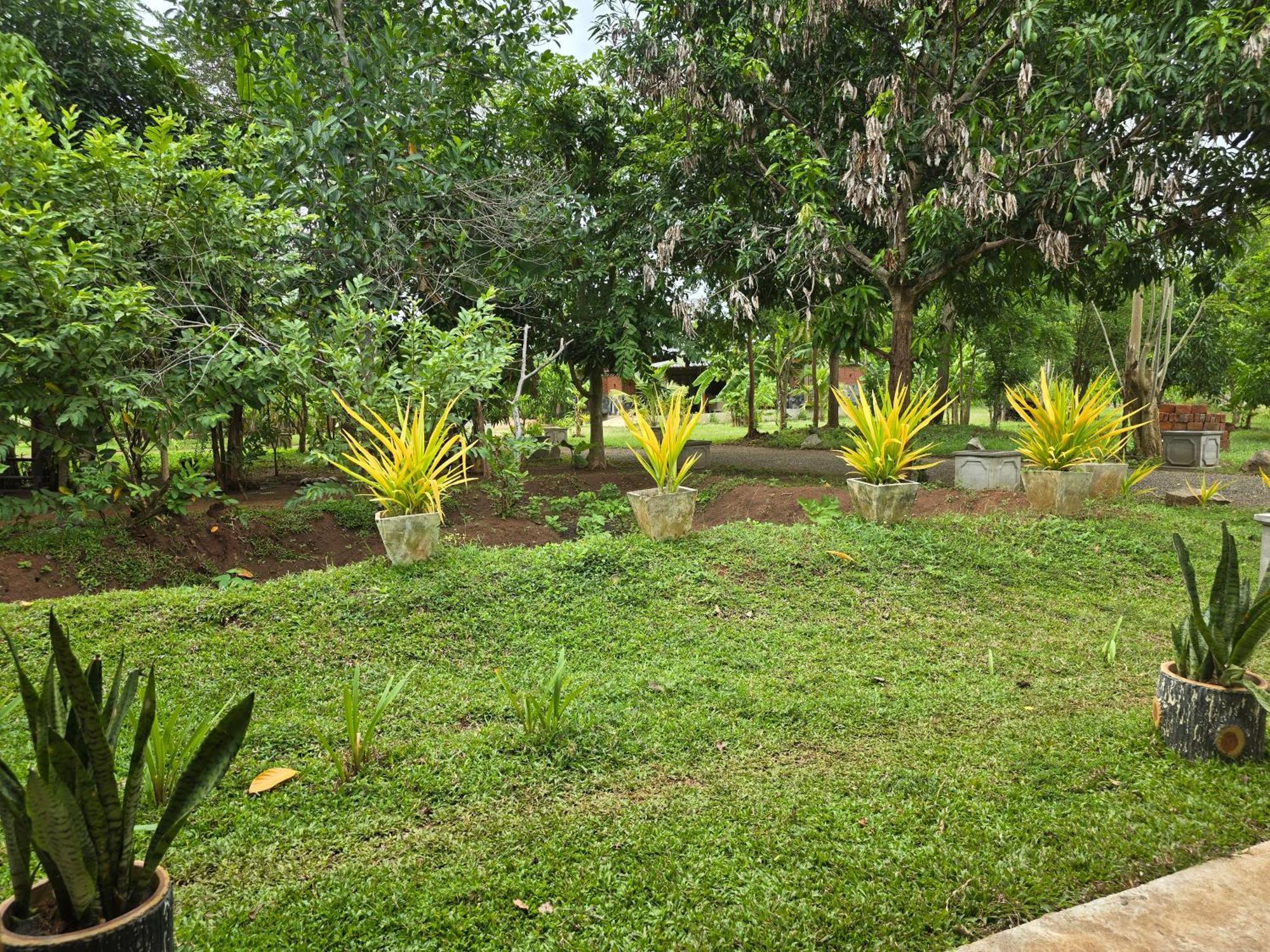 Ceylon Resort Wilpattu Kültér fotó