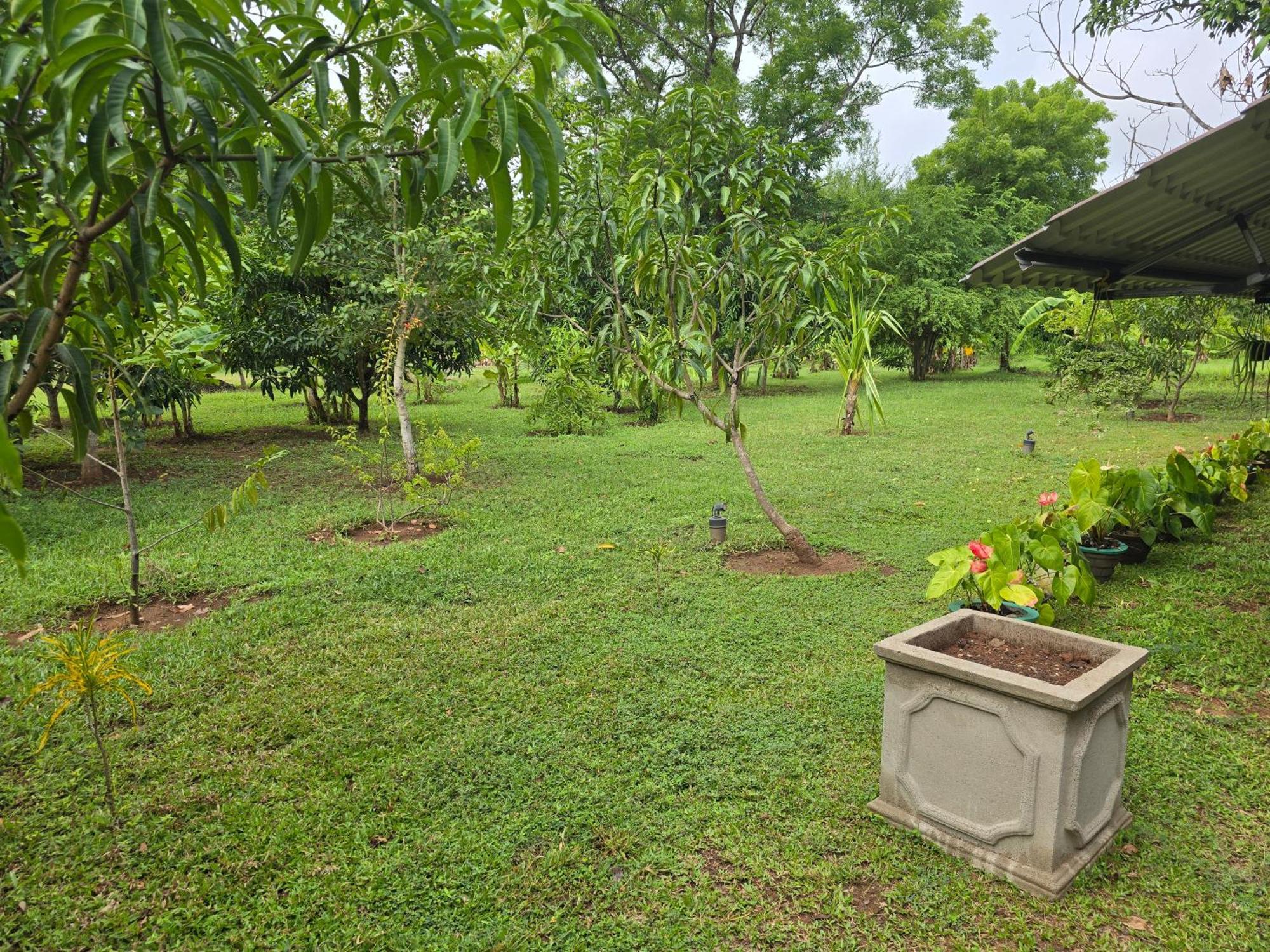 Ceylon Resort Wilpattu Kültér fotó